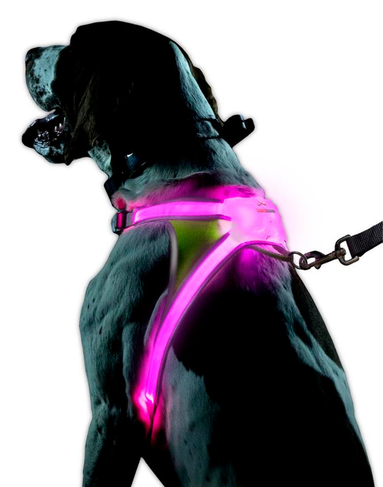 Noxgear Lighthound: Advanced Illuminated and Reflective Dog Harness with Multicolored LED Fiber Optics, USB Rechargeable, Adjustable, Lightweight, and Rainproof Design