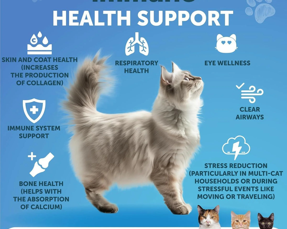 L-Lysine Powder Supplement for Cats - 900mg Immune Support Formula
