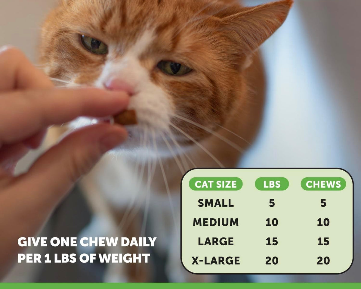 Cat Probiotics Chews - Crunchy & Creamy Treats for Gut & Immune Health