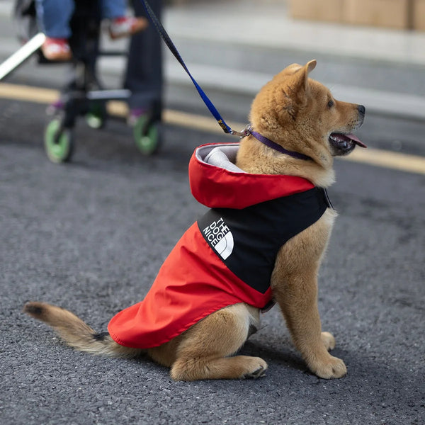 Stylish Waterproof Raincoat Jacket for Dogs - Perfect Spring & Autumn Outerwear for Your Handsome Pup!