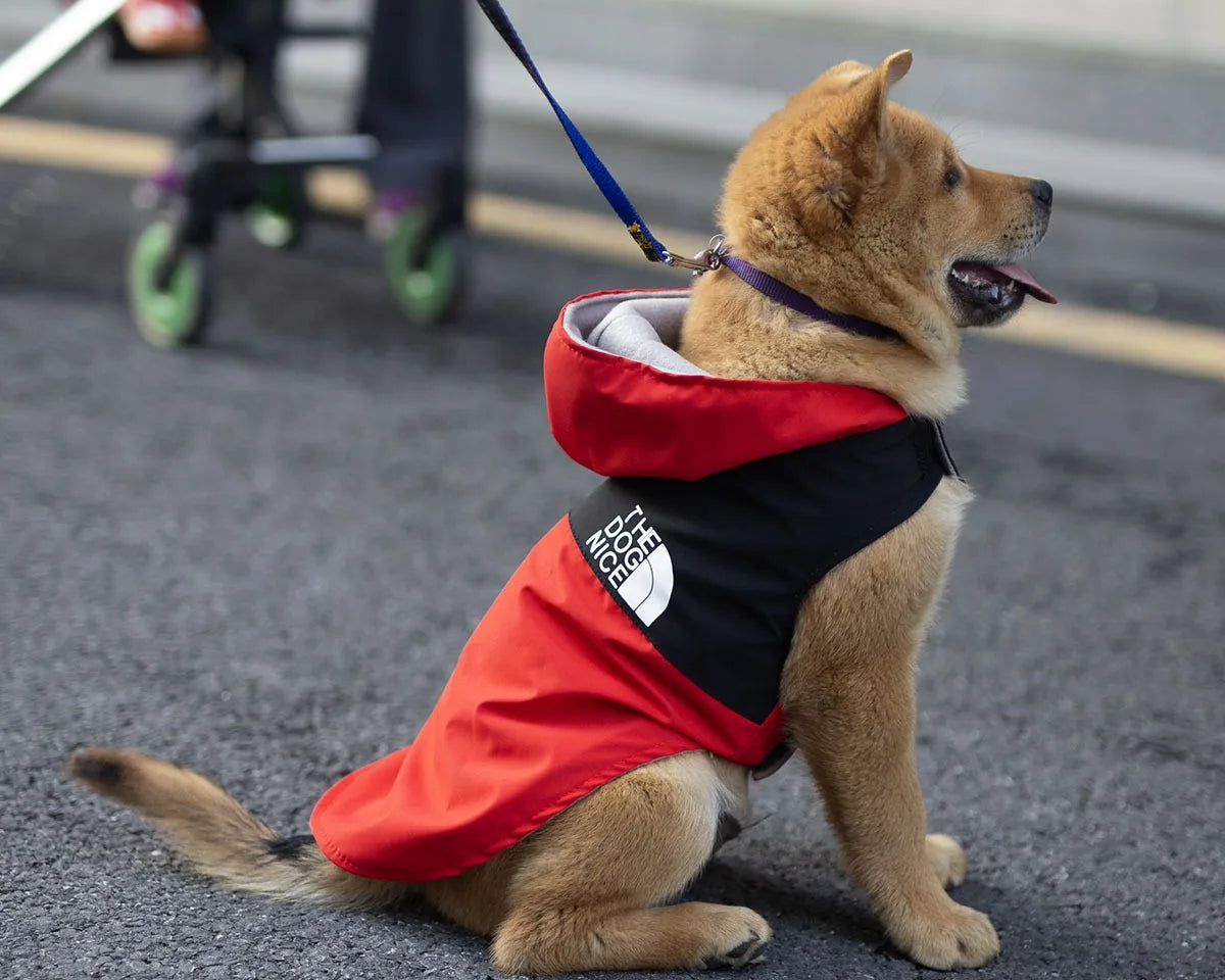 Stylish Waterproof Raincoat Jacket for Dogs - Perfect Spring & Autumn Outerwear for Your Handsome Pup!