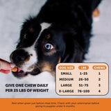 Bacon-Flavored Hip & Joint Health Chews for Happy Pets