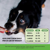 Delicious Pumpkin Flavor Digestive Probiotics Chews - 90 Count with 20% Off Auto Renew!