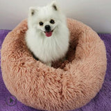 Luxurious Round Plush Pet Beds for Small Dogs and Cats - The Ultimate Cozy Nest for Your Furry Companions
