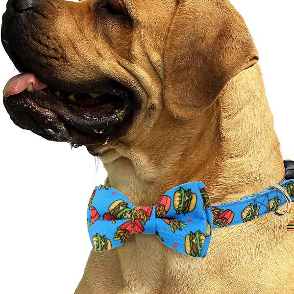 2 Packs Adjustable Dog Collar with Bells and Charm Safety Buckle 
