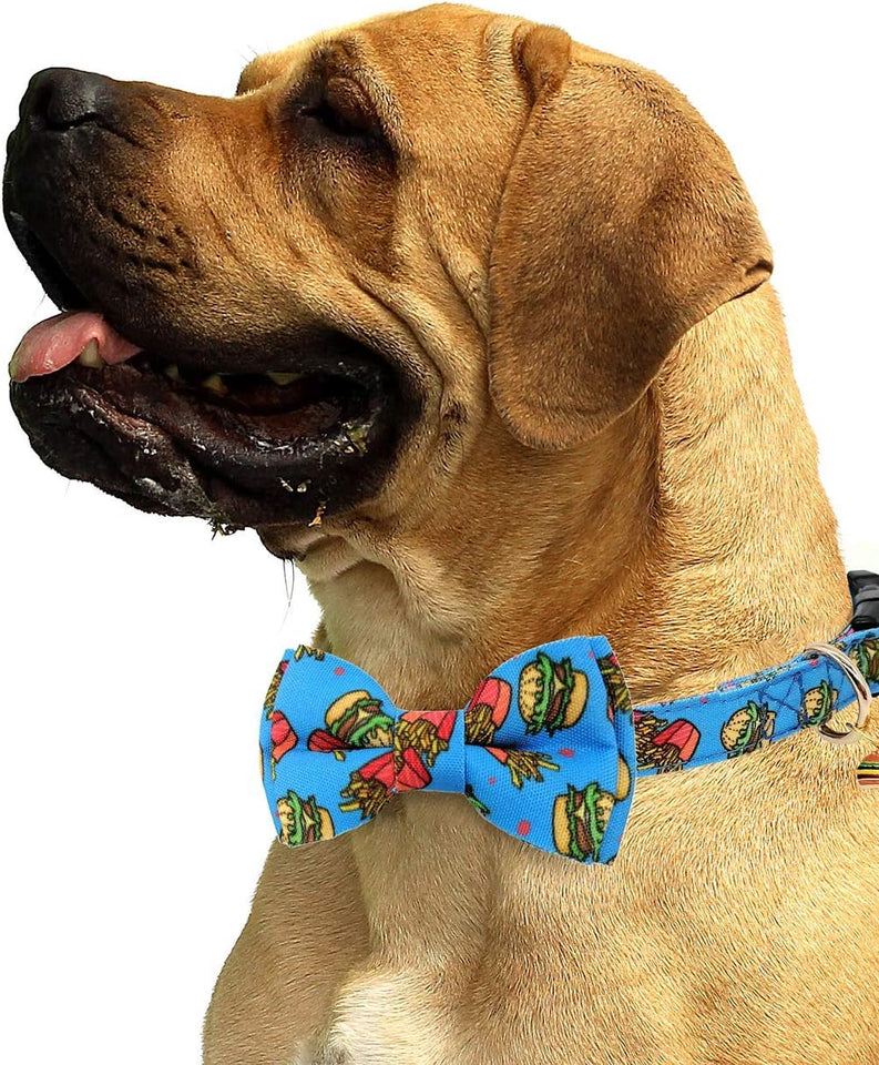 2 Packs Adjustable Dog Collar with Bells and Charm Safety Buckle 