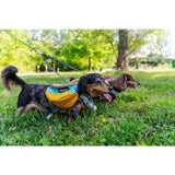 Alpha Pak Adventurer EZ Latch Two-Piece Dog Backpack