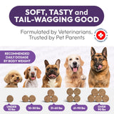 Dog Multivitamin Chewable Vitamins Supplements 