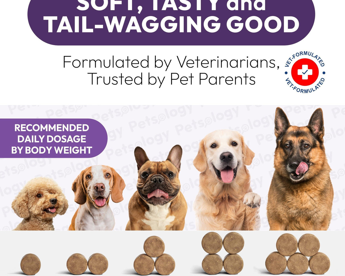Dog Multivitamin Chewable Vitamins Supplements 