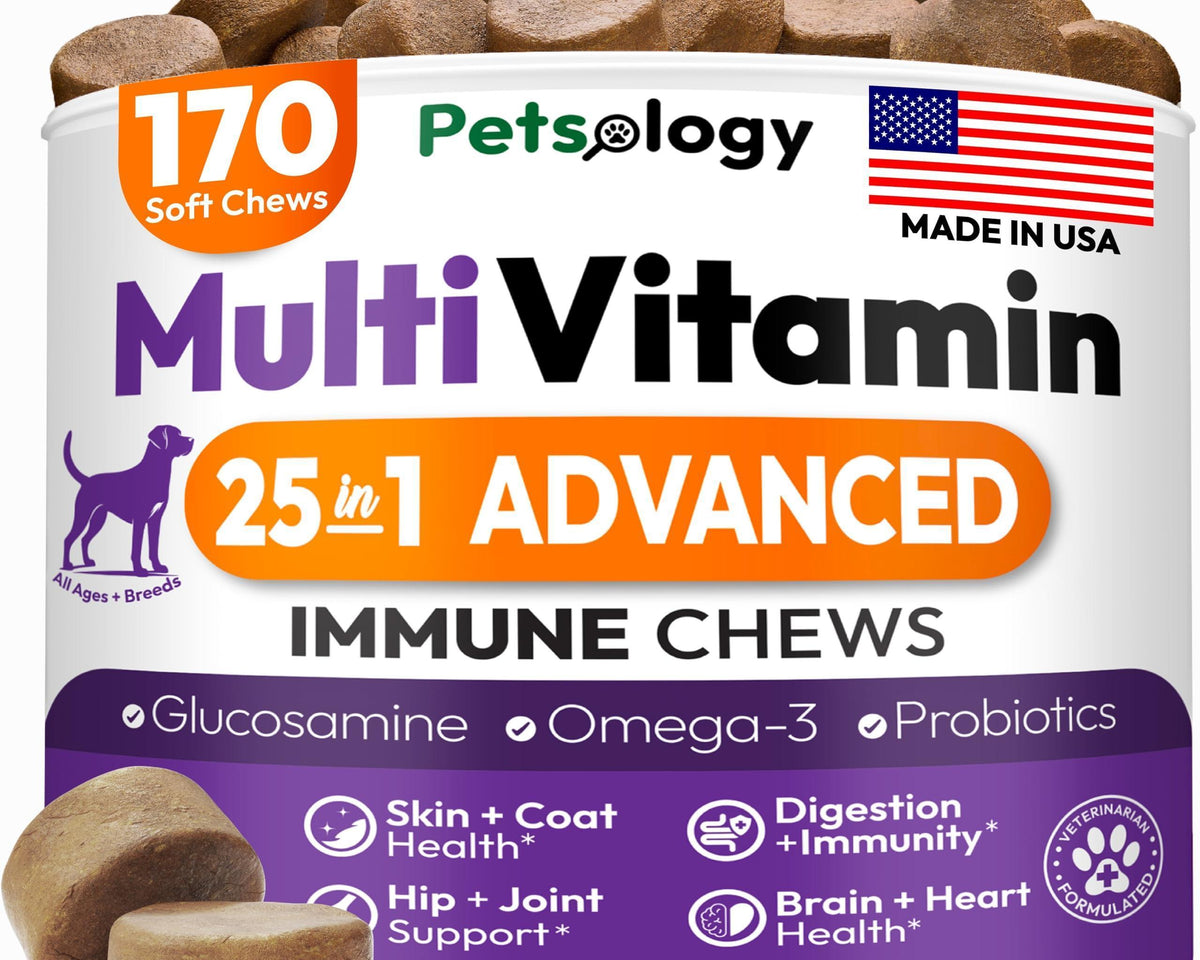Dog Multivitamin Chewable Vitamins Supplements 