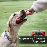 Indestructible Dog Toy for Aggressive Chewers - Interactive Bone Toy for Medium to Large Dogs by Dinosam