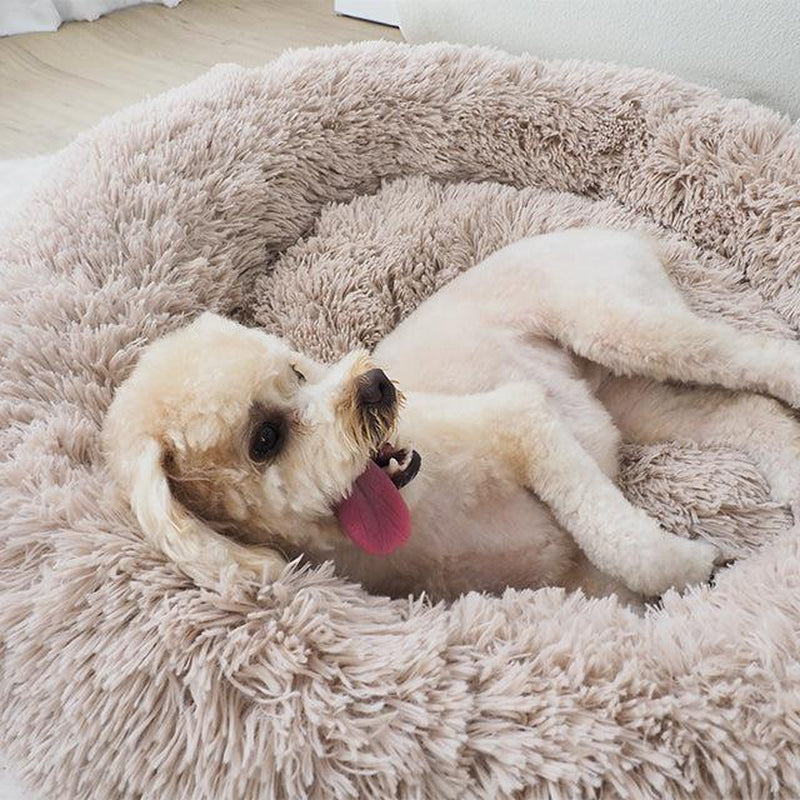 Luxurious Oatmeal Calming Donut Pet Bed for Ultimate Comfort and Serenity
