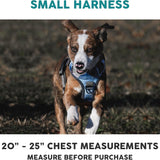 Embark Adventure Reflective No-Pull Dog Harness for Small Breeds - Durable Military-Grade Nylon with Front Clip and Gel-Enhanced Handle