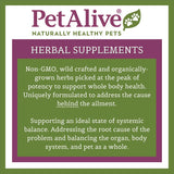 Glucoensure - Natural Herbal Supplement for Healthy Blood Sugar Levels in Pets
