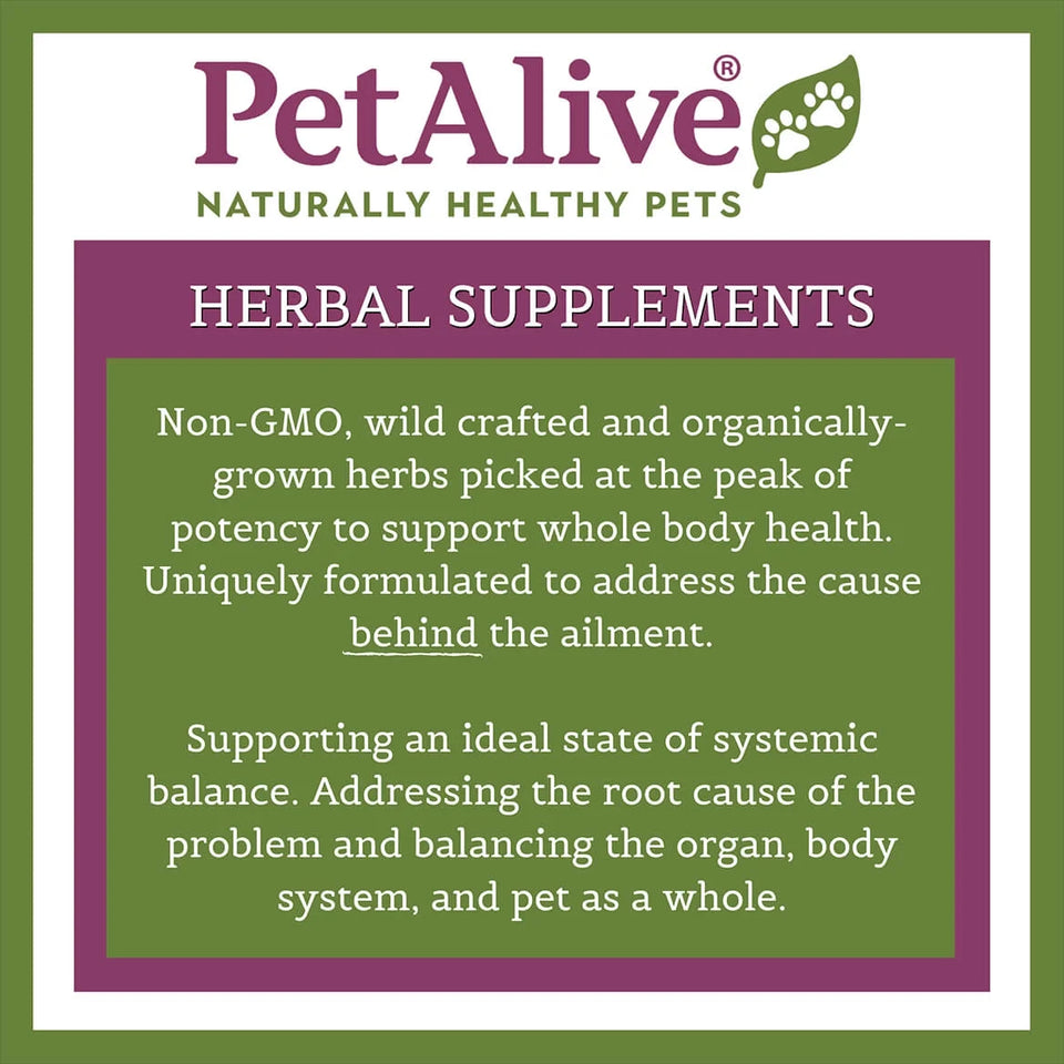 Glucoensure - Natural Herbal Supplement for Healthy Blood Sugar Levels in Pets