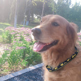 Heavy Duty Reflective Dog Collar - Padded, and Adjustable 