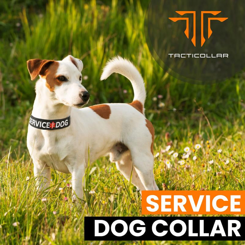 Tacticollar - Service Dog Collar, Nylon, Adjustable, Embroidery