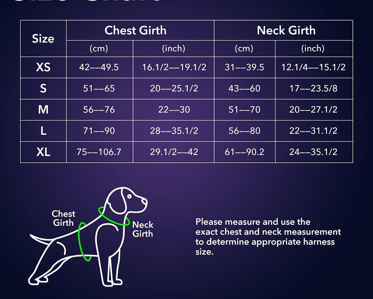 USB Rechargeable LED Dog Harness with Reflective Strips - Adjustable Medium Comfort Fit (Green)