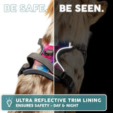 Embark Adventure Reflective No-Pull Dog Harness for Small Breeds - Durable Military-Grade Nylon with Front Clip and Gel-Enhanced Handle