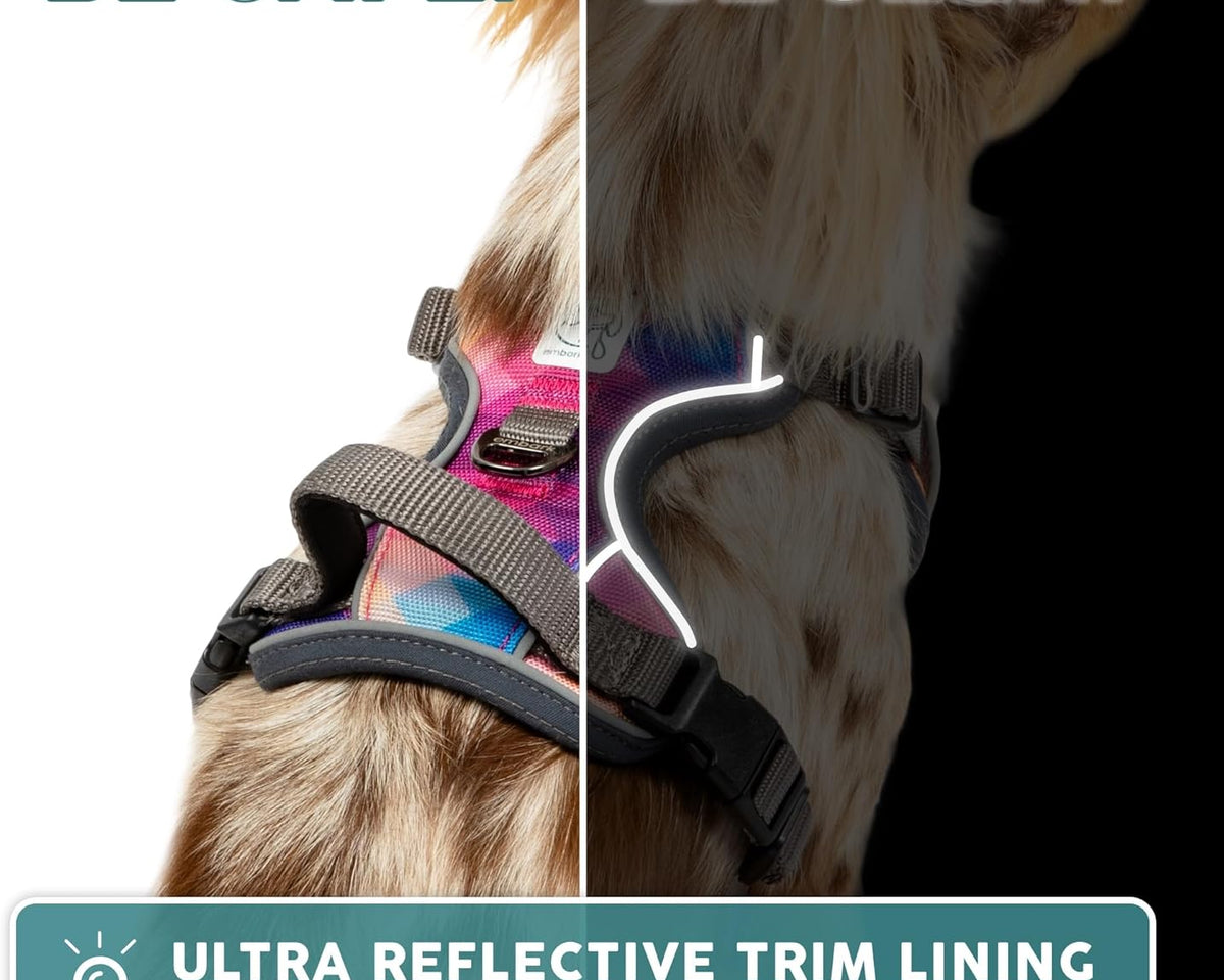 Embark Adventure Reflective No-Pull Dog Harness for Small Breeds - Durable Military-Grade Nylon with Front Clip and Gel-Enhanced Handle