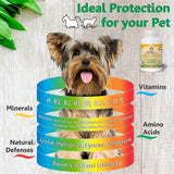 Immune Support Dog Supplement 