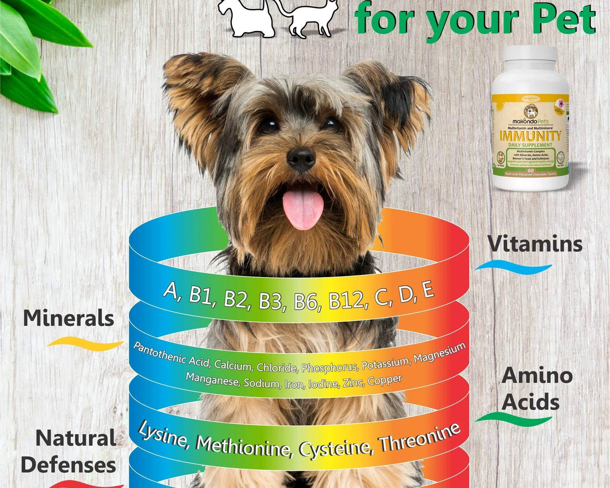 Immune Support Dog Supplement 