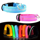 LED Dog Safety Collar – Night Glow - My Pet Collective LED Dog Safety Collar – Night Glow