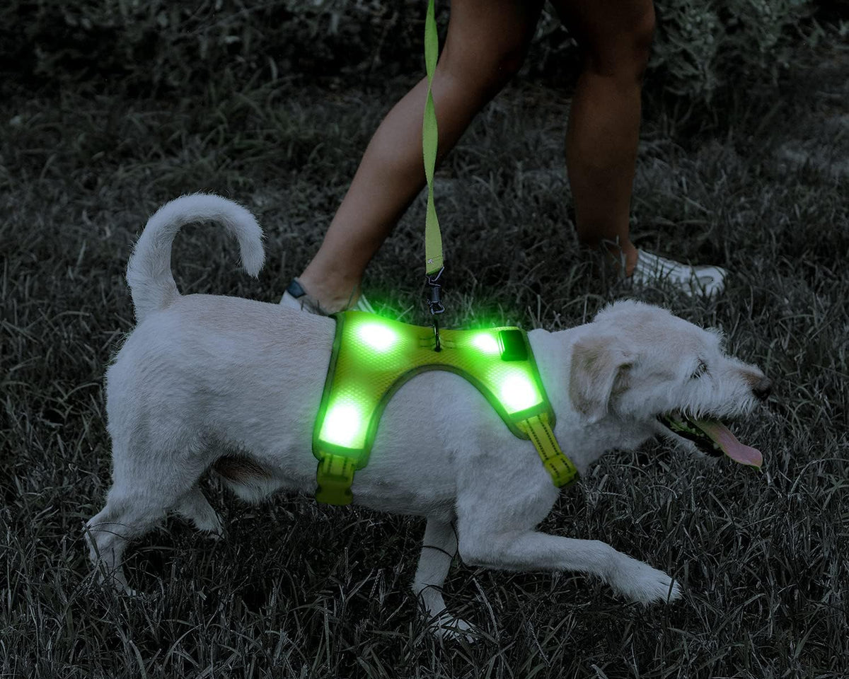 USB Rechargeable LED Dog Harness with Reflective Strips - Adjustable Medium Comfort Fit (Green)