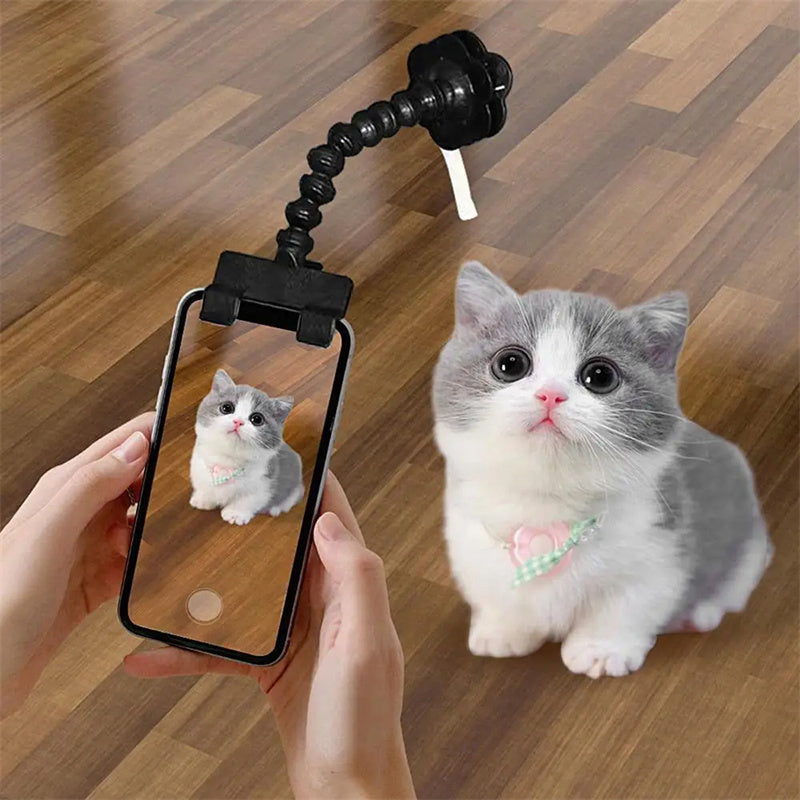 Pet Photography Tool Cat