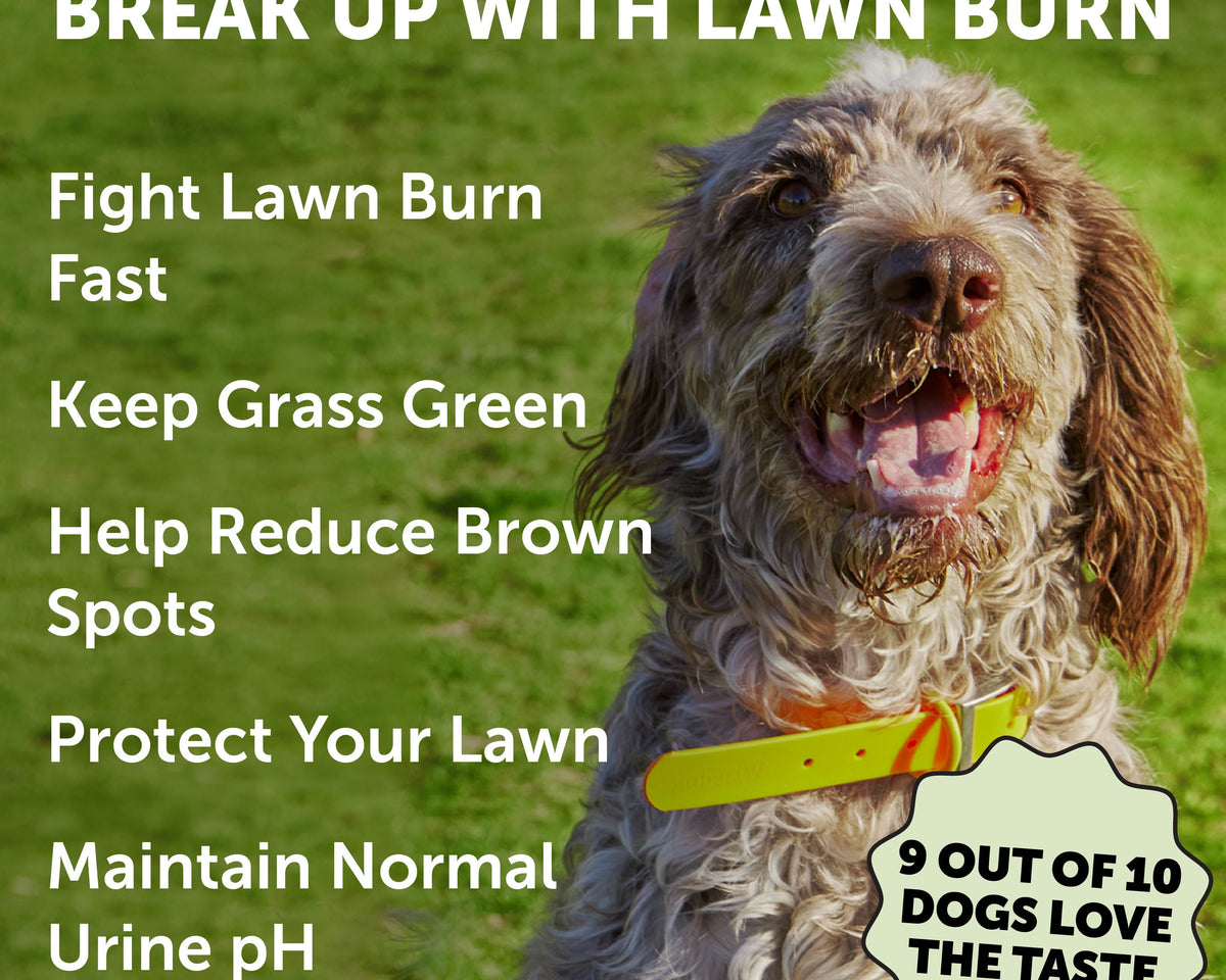 Max Strength Grass Green Duck Flavor - Unleash the Power!