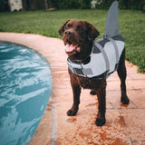 Dog Life Jacket with Rescue Handle - Adjustable Flotation Vest for Small, Medium, and Large Dogs - Ideal for Swimming Pools and Beaches