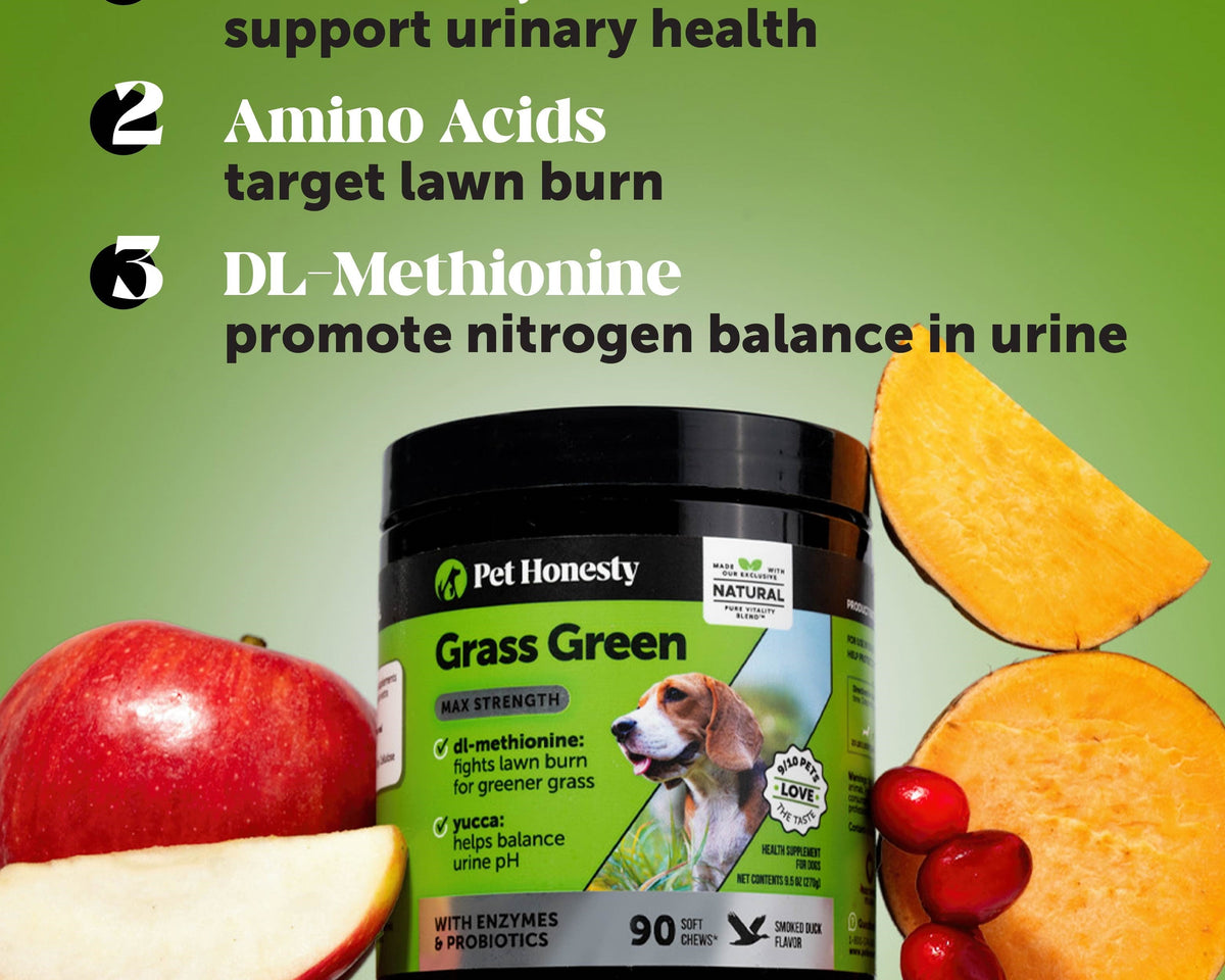 Max Strength Grass Green Duck Flavor - Unleash the Power!