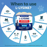 L-Lysine Powder Supplement for Cats - 900mg Immune Support Formula