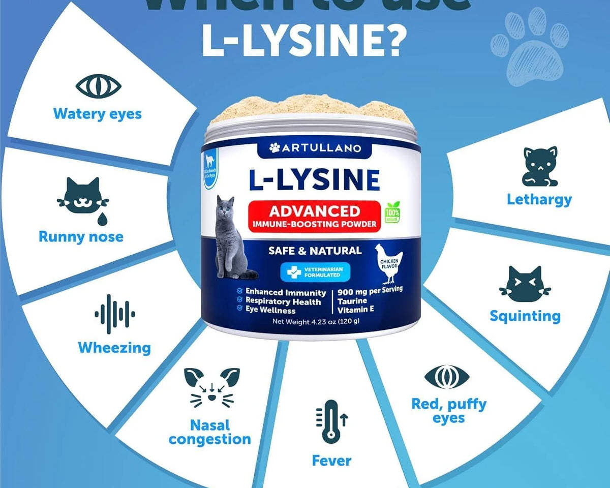 L-Lysine Powder Supplement for Cats - 900mg Immune Support Formula