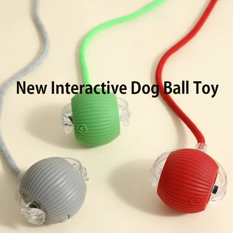 Interactive Automatic Rolling Dog Ball Toy - Rechargeable Smart Toy for Puppies and Dogs