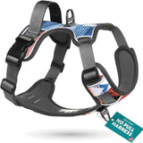 Embark Adventure Reflective No-Pull Dog Harness for Small Breeds - Durable Military-Grade Nylon with Front Clip and Gel-Enhanced Handle