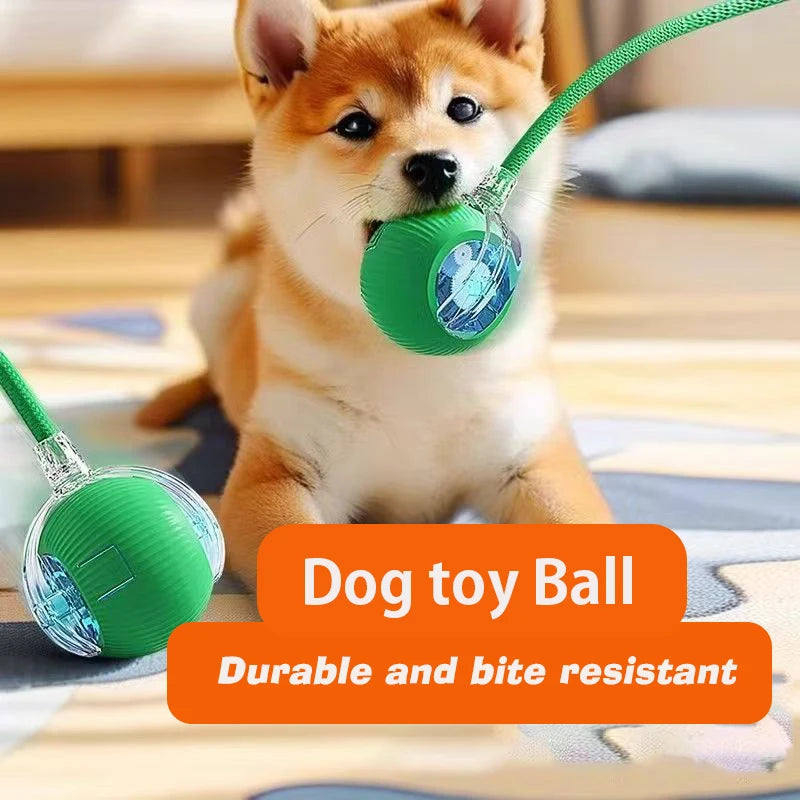 Interactive Automatic Rolling Dog Ball Toy - Rechargeable Smart Toy for Puppies and Dogs