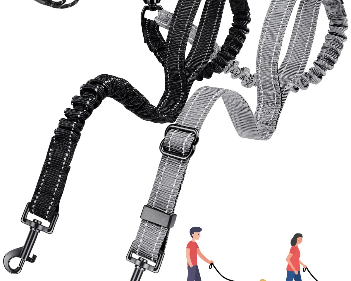 AutoWT™ No-Tangle Double Dog Leash - My Pet Collective AutoWT™ No-Tangle Double Dog Leash