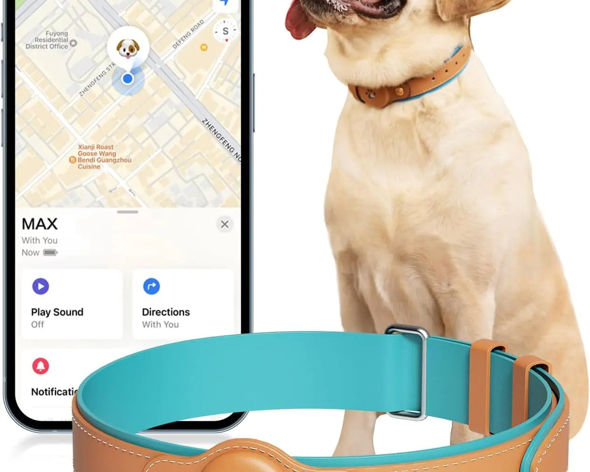 SmartPup™ 2-in-1 GPS Tracker - My Pet Collective SmartPup™ 2-in-1 GPS Tracker