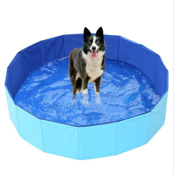 Foldable Pet Swimming Pool - My Pet Collective Foldable Pet Swimming Pool