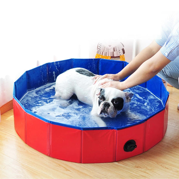 Foldable Pet Swimming Pool - My Pet Collective Foldable Pet Swimming Pool