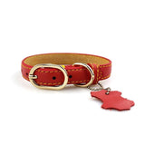 Classic Leather Dog Collar with Hangtag - My Pet Collective Classic Leather Dog Collar with Hangtag
