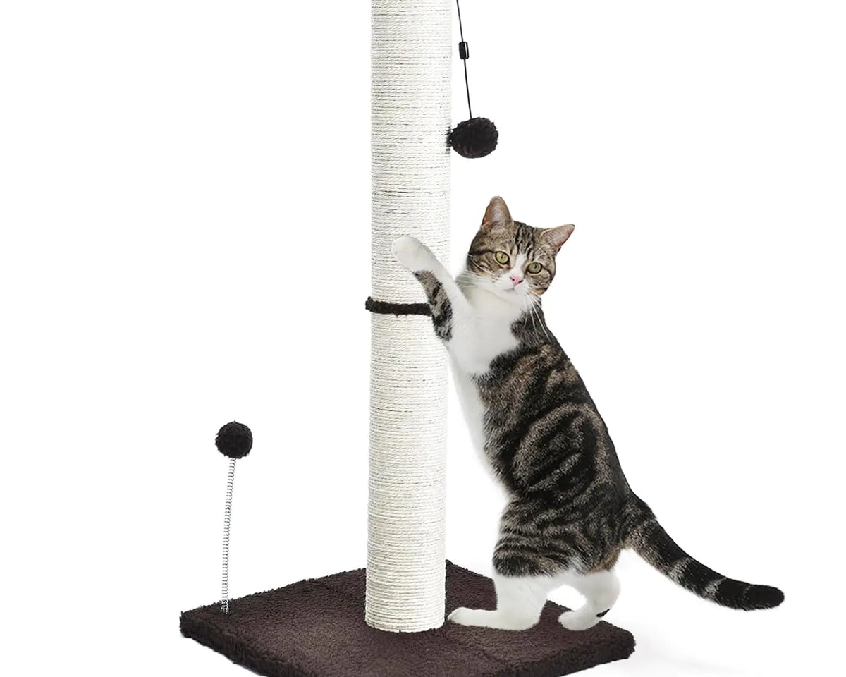 ScratchPlay™ 32" Tall Cat Scratching Post - My Pet Collective ScratchPlay™ 32" Tall Cat Scratching Post