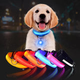 LED Dog Safety Collar – Night Glow - My Pet Collective LED Dog Safety Collar – Night Glow