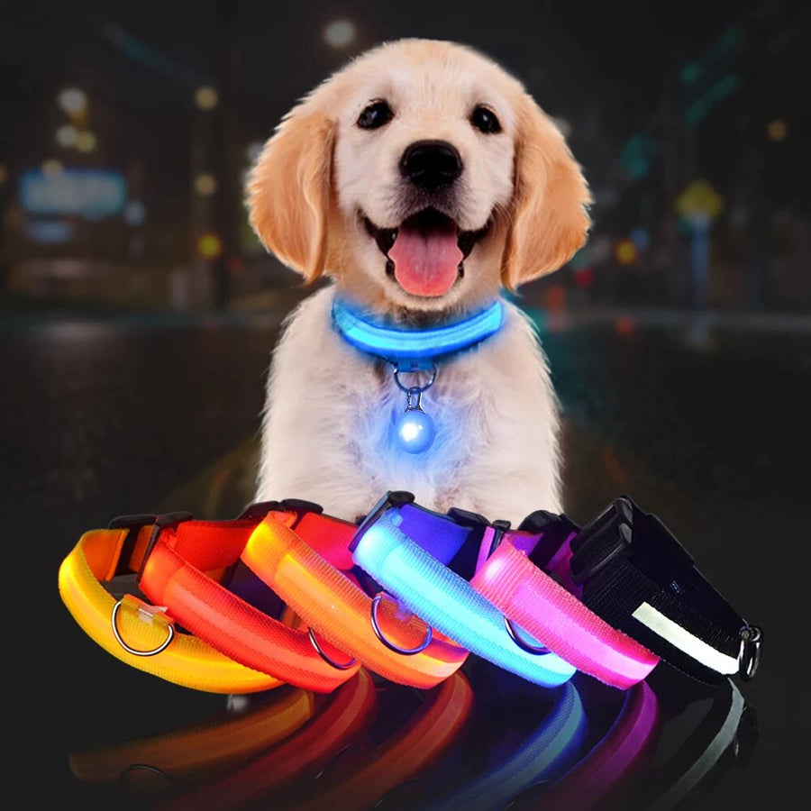 LED Dog Safety Collar – Night Glow - My Pet Collective LED Dog Safety Collar – Night Glow