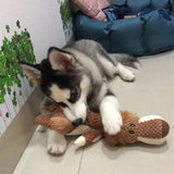 Exciting Corgi-Husky Pet Toys to Banish Boredom - My Pet Collective