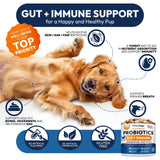 Delicious Probiotic Chews for Dogs - 170 Digestive Enzymes & Prebiotics for Optimal Gut Health!