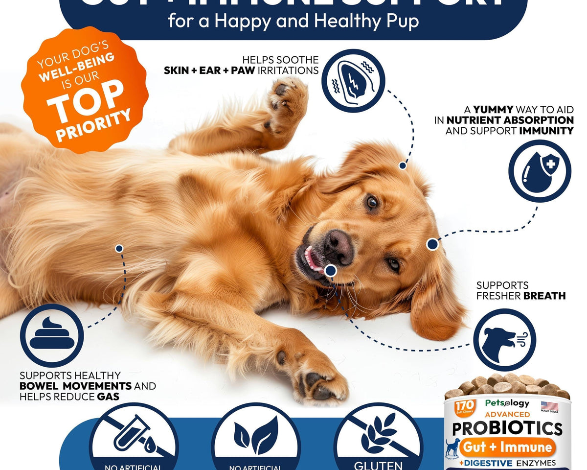 Delicious Probiotic Chews for Dogs - 170 Digestive Enzymes & Prebiotics for Optimal Gut Health!