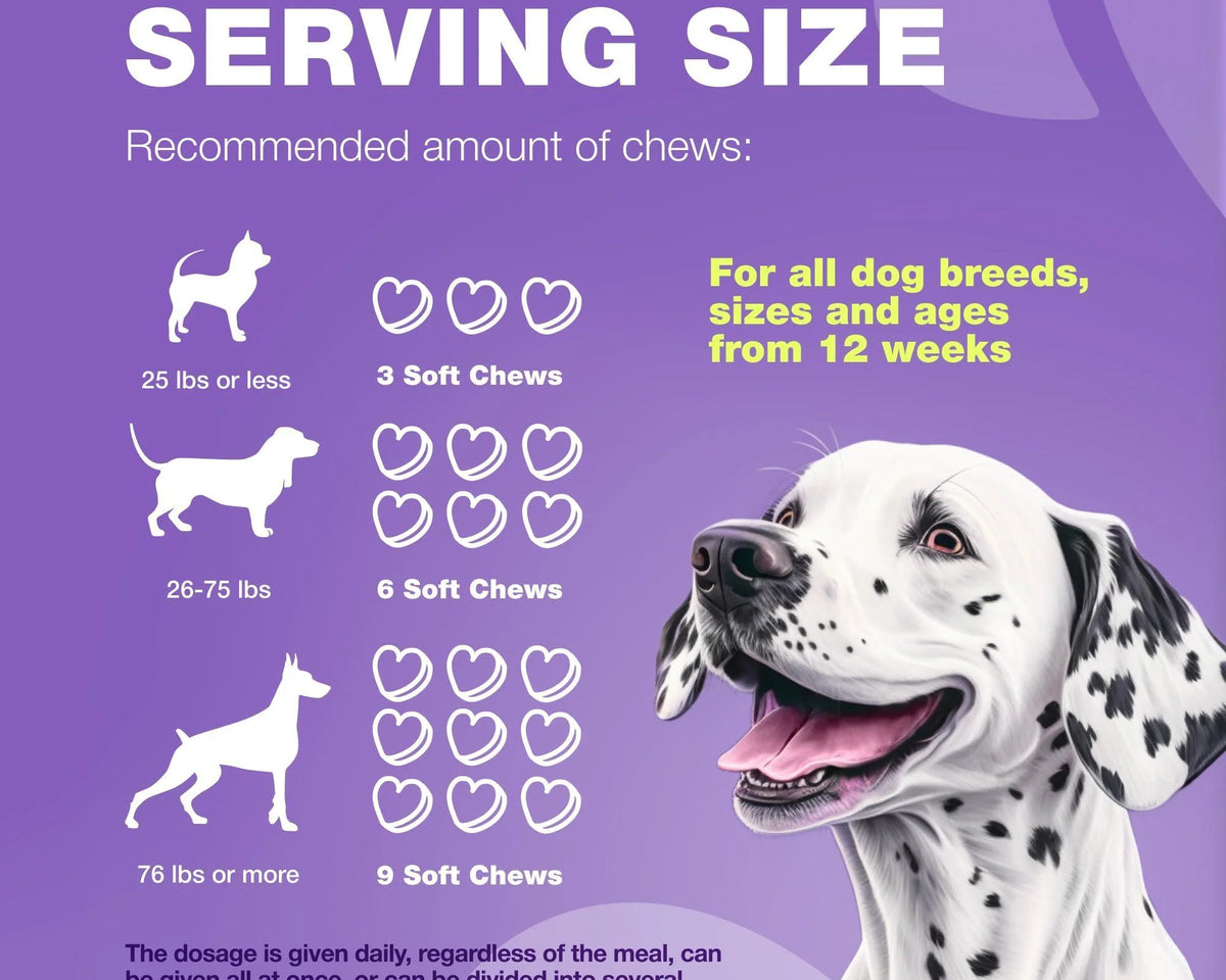 Dog Vitamins 15 in 1 