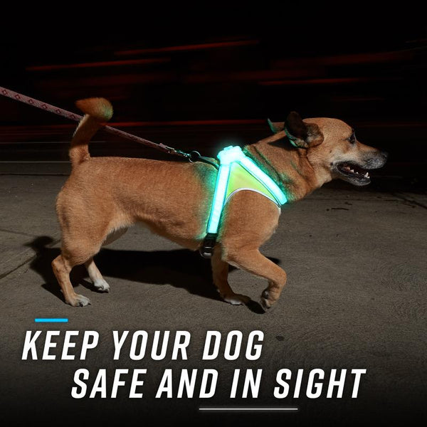 Noxgear Lighthound: Advanced Illuminated and Reflective Dog Harness with Multicolored LED Fiber Optics, USB Rechargeable, Adjustable, Lightweight, and Rainproof Design
